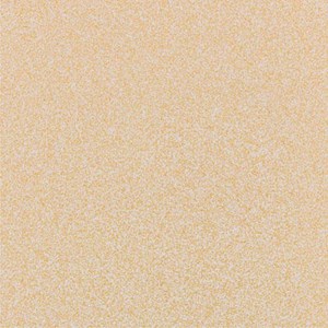 Gạch ốp lát Granite 600x600 Trung Đô Muối Tiêu MM6648