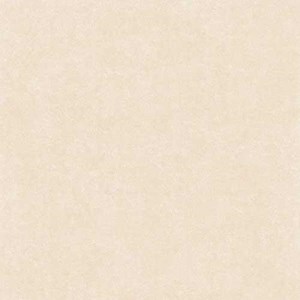 Gạch lát nền Porcelain Trung Đô 600x600 MF6 8676