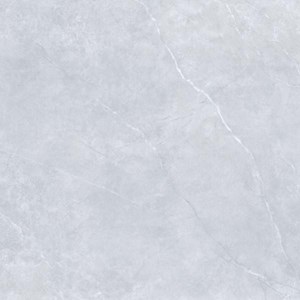 Gạch lát nền Granite mài bóng Thạch Bàn 600x600 FGB60-0002.0