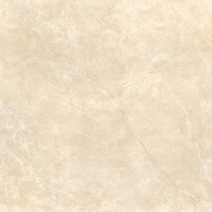 Gạch lát nền Granite mài bóng 600x600 FGB60-0006.0